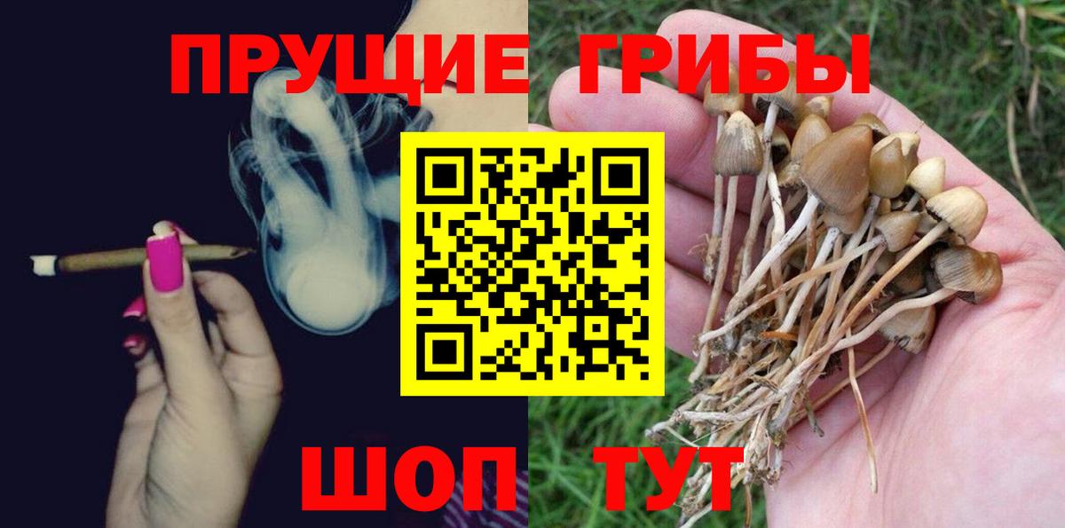 Галлюциногенные грибы GOLDEN TEACHER  Псилоцибиновые грибы Cubensis  Каменка  Вход с VPN 